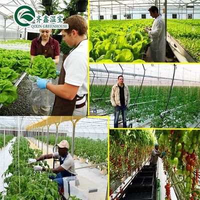 PO Tower Garden for Vegetables Fruits Flowers Бюджетное сельскохозяйственное тепличное хозяйство