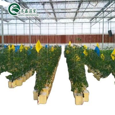 PO Tower Garden for Vegetables Fruits Flowers Бюджетное сельскохозяйственное тепличное хозяйство