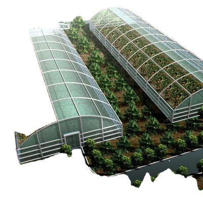 Коммерческая система аквапонических аквариумов Предварительно изготовленные теплицы PO для овощей