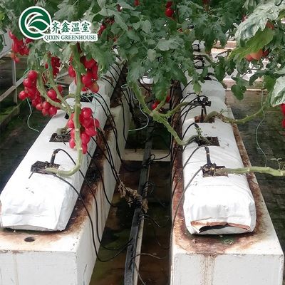 PO Tower Garden for Vegetables Fruits Flowers Бюджетное сельскохозяйственное тепличное хозяйство