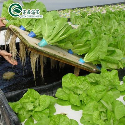 PO Tower Garden for Vegetables Fruits Flowers Бюджетное сельскохозяйственное тепличное хозяйство