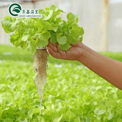 PO Tower Garden for Vegetables Fruits Flowers Бюджетное сельскохозяйственное тепличное хозяйство