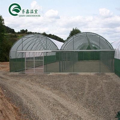 30 x 100 Оранжерея для выращивания овощей, покрытая пленкой, с многоразовым арком, с крышкой PO