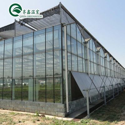 Оцинкованная стальная конструкция Венло стеклянная теплица для выращивания овощей фруктов цветов
