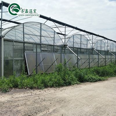 Увеличение урожая картофеля Большие пластиковые трубы Многопролетные сельскохозяйственные теплицы