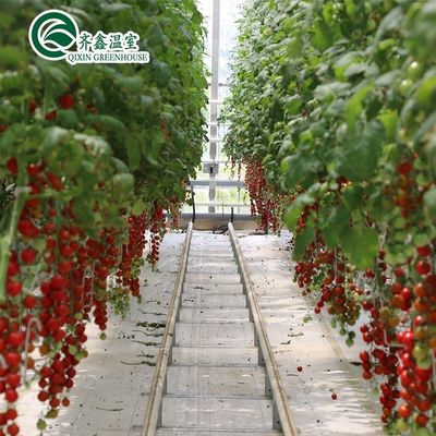 Сельскохозяйственная теплица Южной Кореи с колесной скамейкой и системой внутреннего затенения