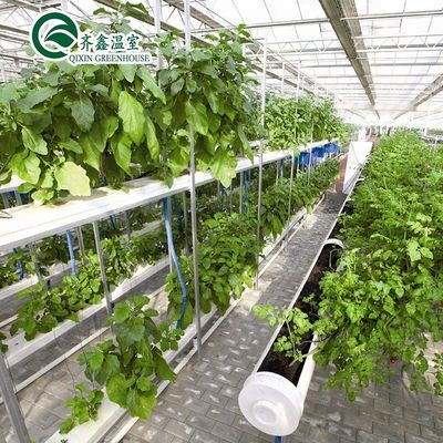 Многопролетные сельскохозяйственные теплицы с пленкой PO, переопределяющие внутренние гидропонические системы