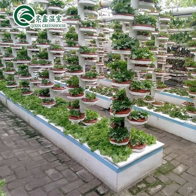 Многопролетные сельскохозяйственные теплицы Генератор CO2 для теплицы