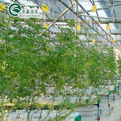 Системы гидропонического выращивания в теплицах с защитой пленкой PO